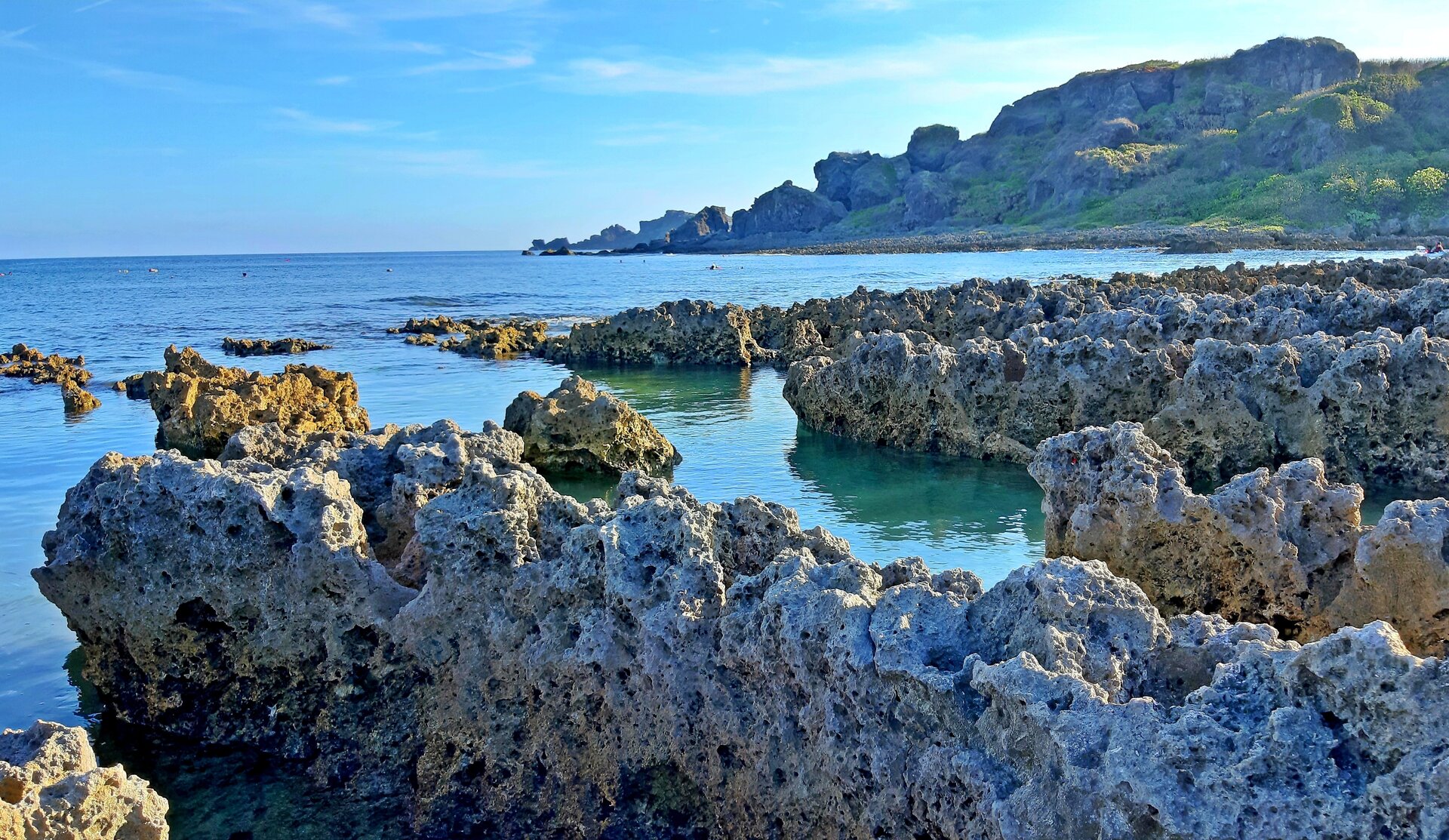 A coral reef with diverse fish — exactly the kind of biodiversity metabarcoding can reveal from a bucket of seawater.